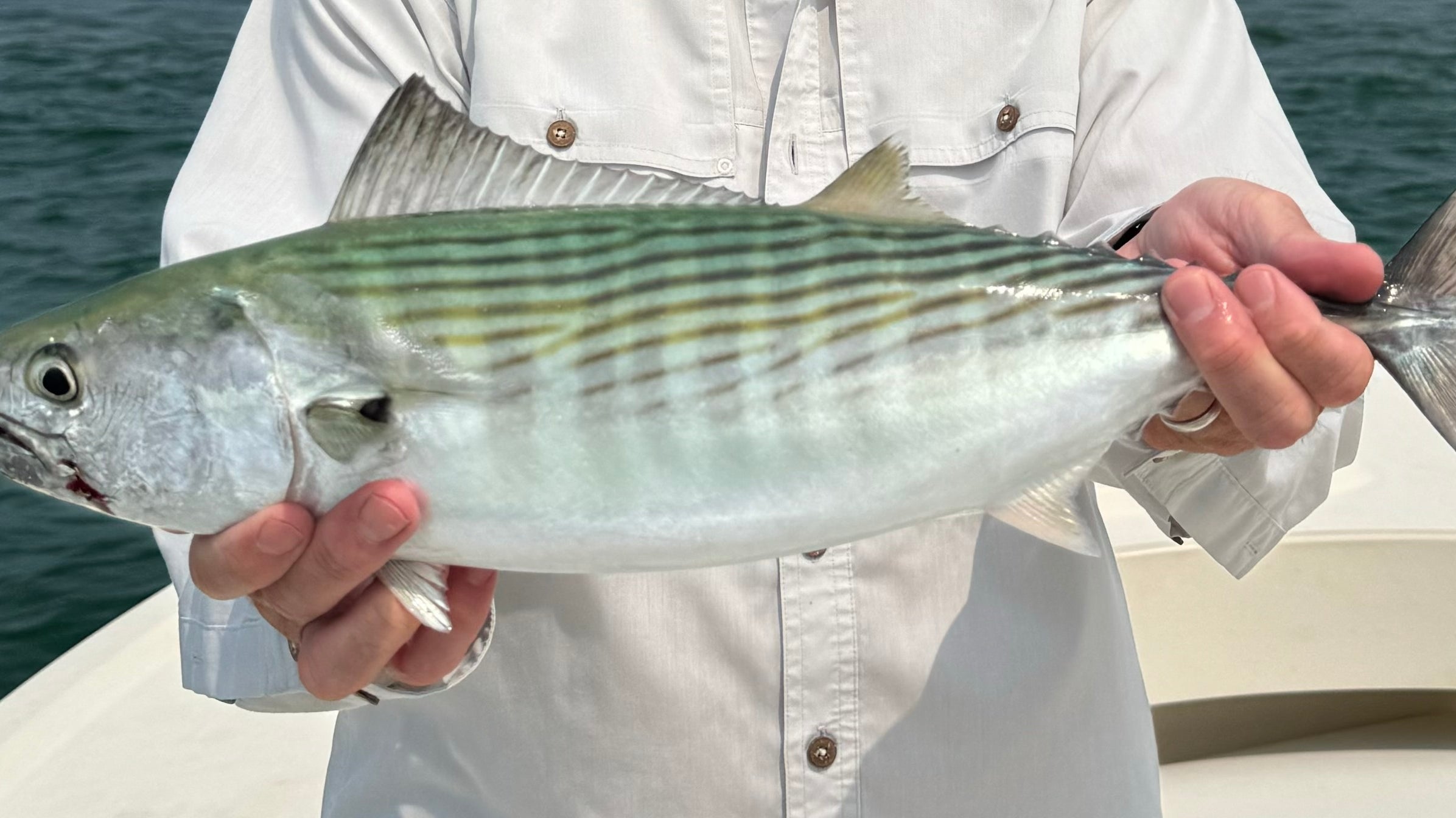 The Thrill of Fall Fishing in Nantucket: Chasing Albies and Bonito