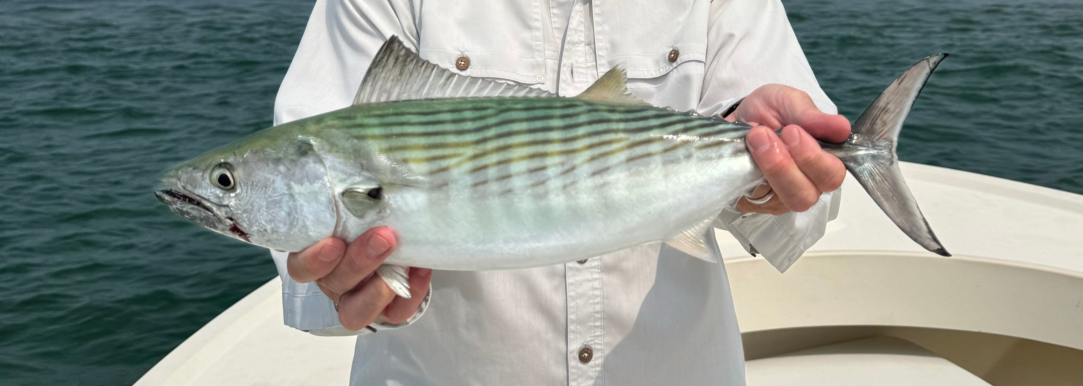 The Thrill of Fall Fishing in Nantucket: Chasing Albies and Bonito